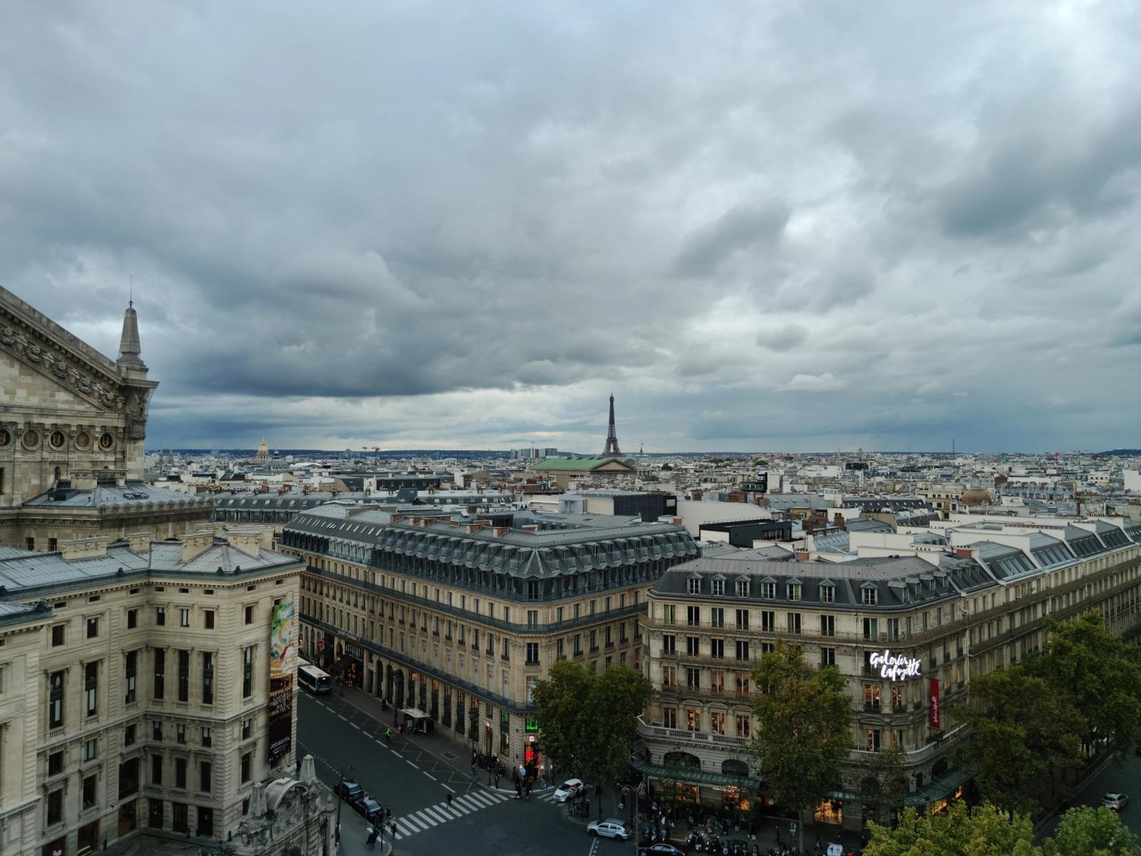 A stunning panoramic view of Paris showcasing the iconic Eiffel Tower under cloudy skies