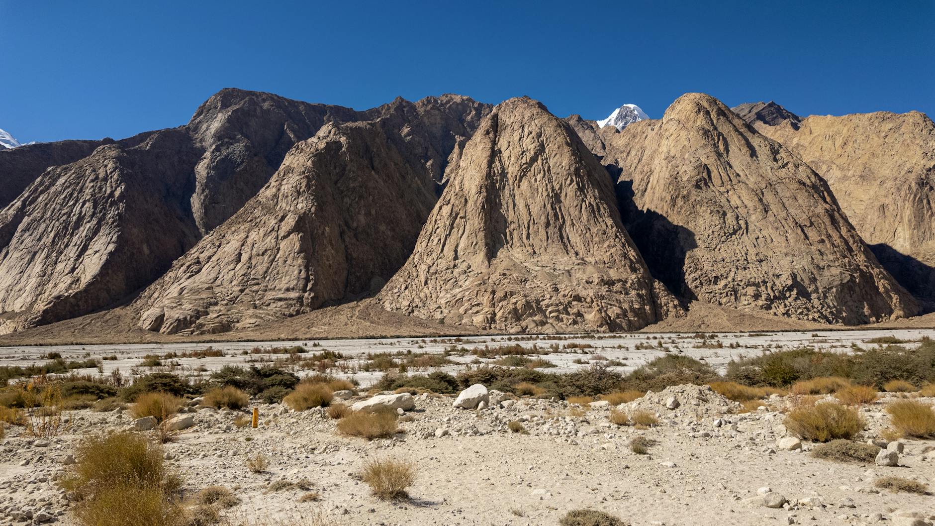 A hotel in Nubra Valley, India