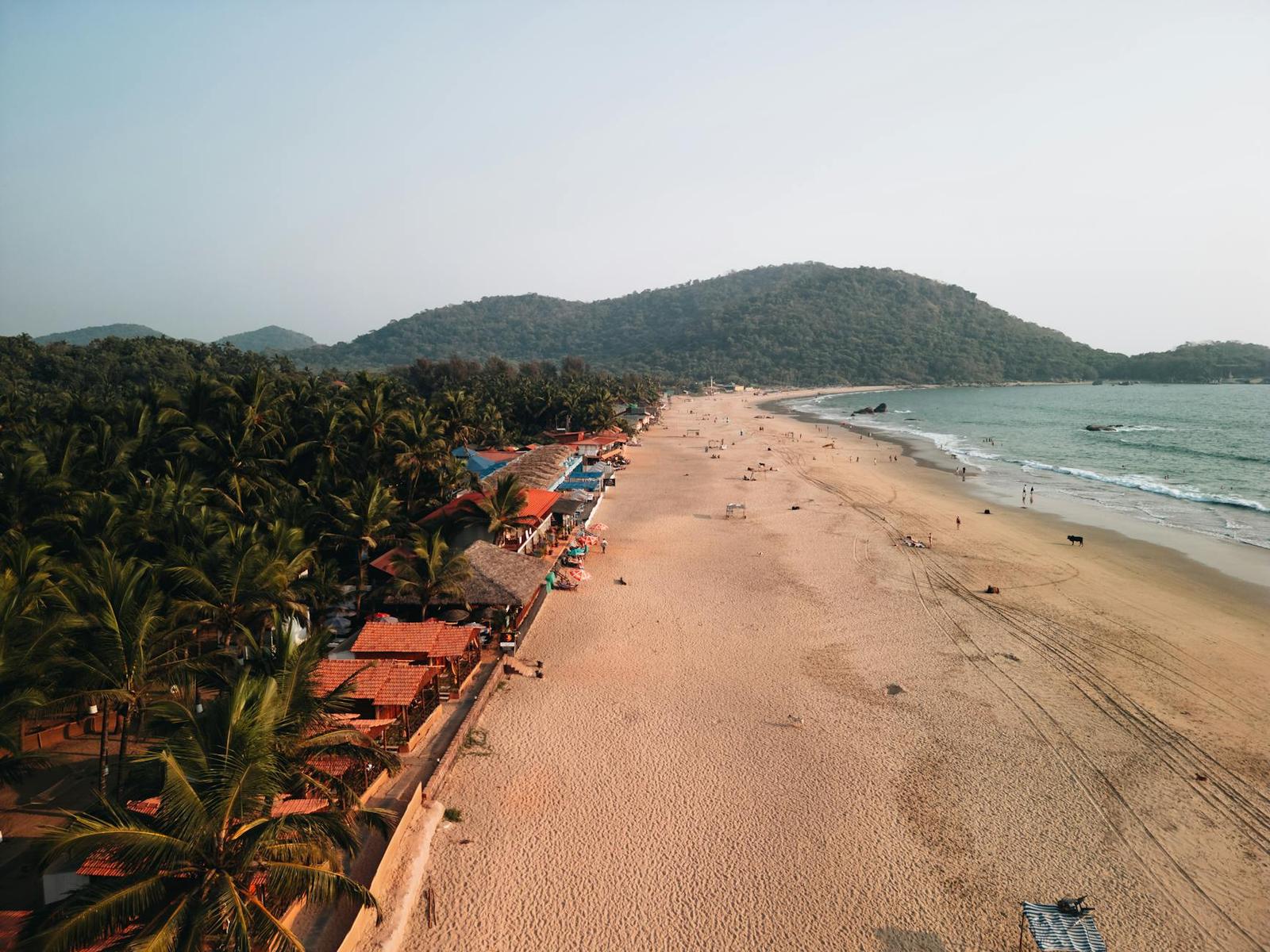 Aerial view of a palm fringed beach lined with shacks beside green hills