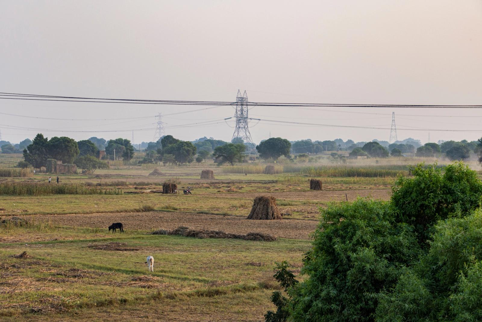A serene rural landscape in Deeg, Uttar Pradesh, India with fields and power lines