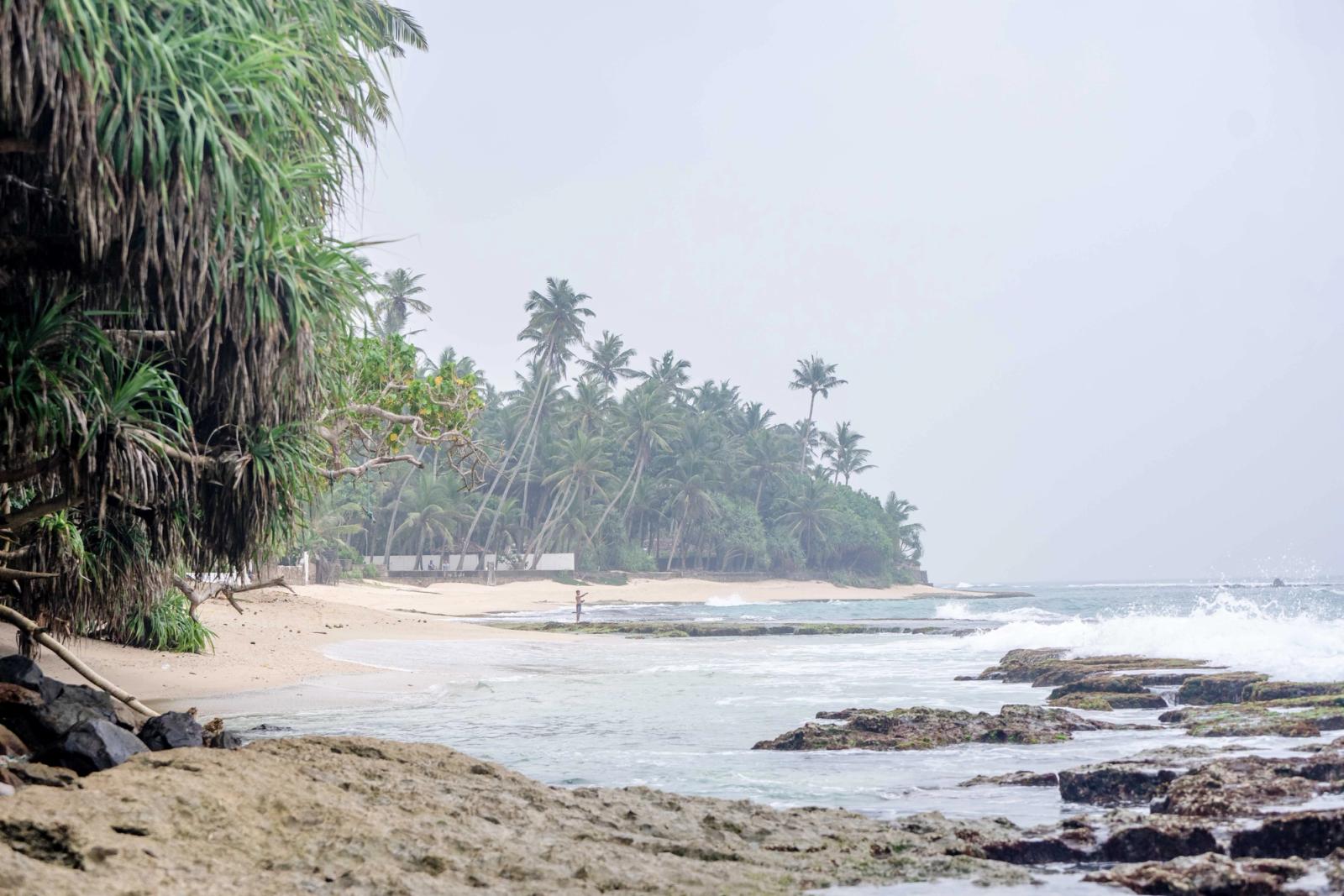 Breathtaking view of the palm-fringed beach and ocean in Galle, Sri Lanka