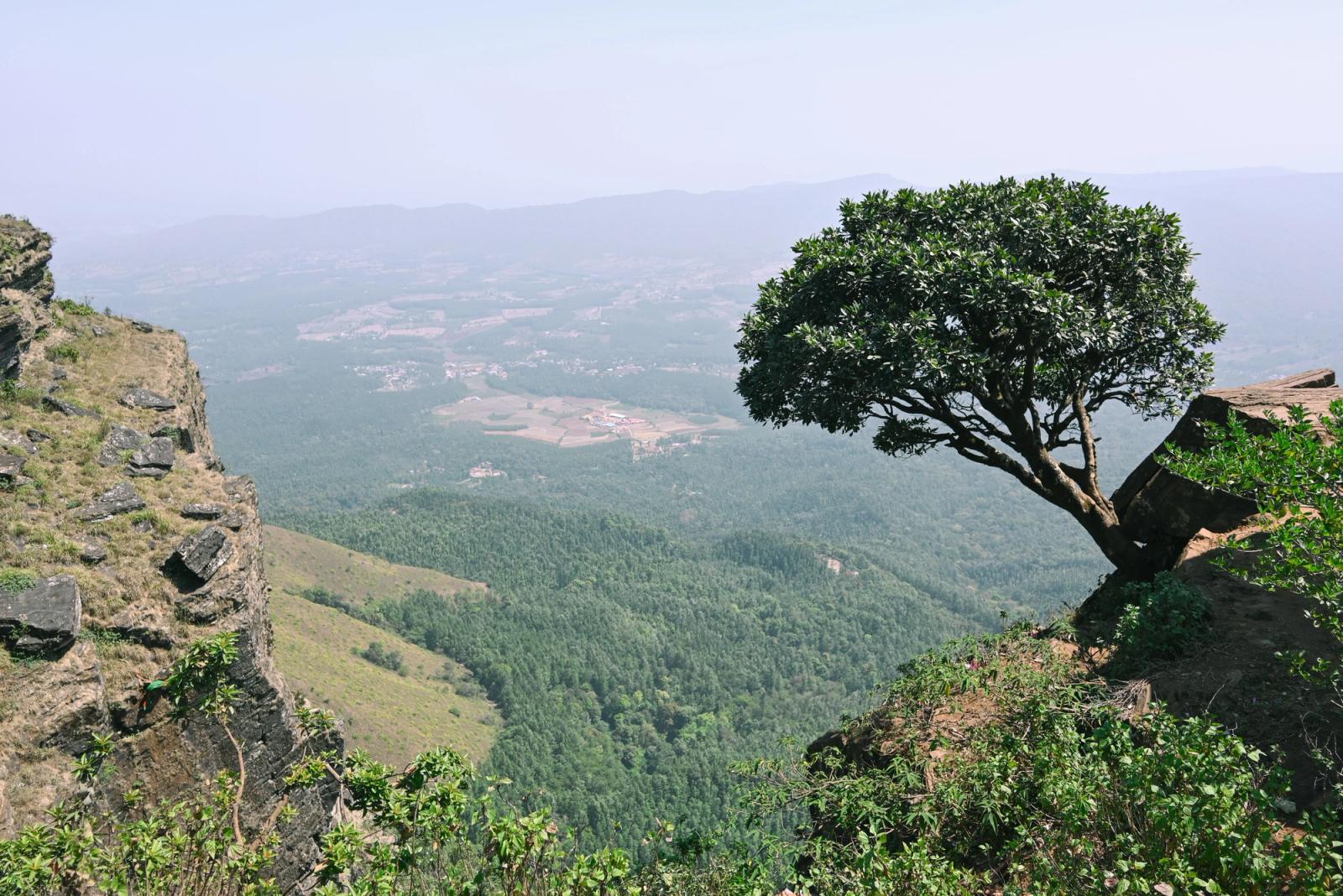 Beautiful view of the lush green valleys and rocky cliffs in Chikkamagaluru, India