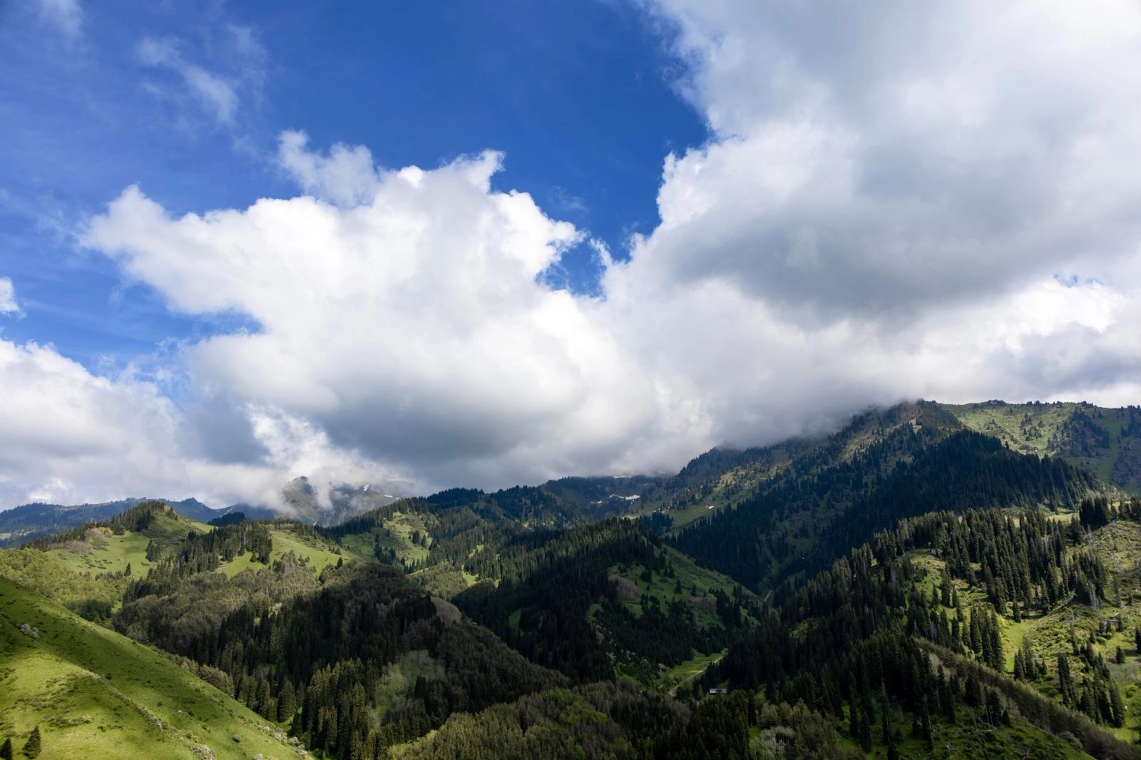 Breathtaking aerial view of lush green mountains under a bright blue sky in Almaty, Kazakhstan