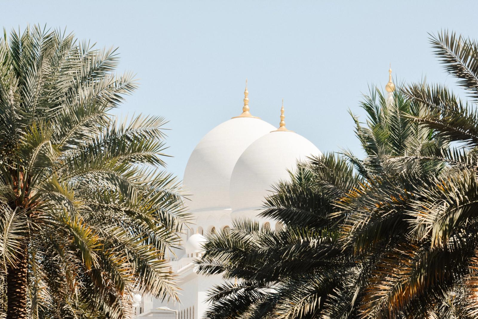 A stunning view of Sheikh Zayed Mosque domes framed by lush palm trees in Abu Dhabi, UAE