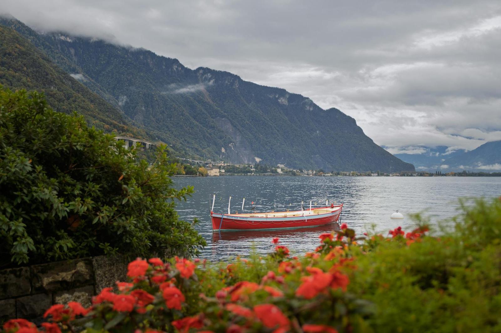 Red rowboat moored on a misty lake framed by red flowers