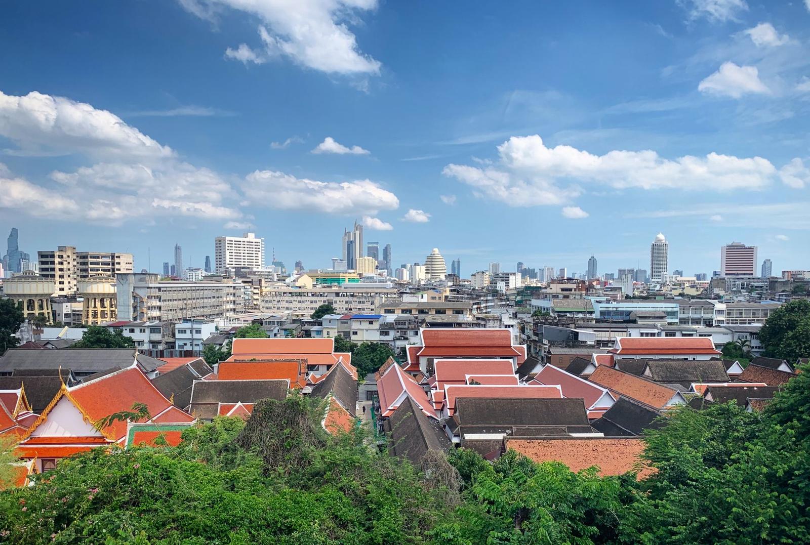 City rooftops and temple roofs spread beneath a distant skyline