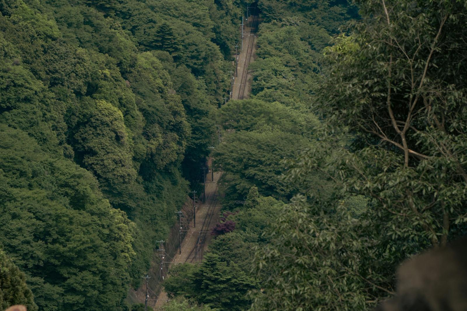 Railway cutting through dense green forest in Hachiōji, Tokyo, Japan