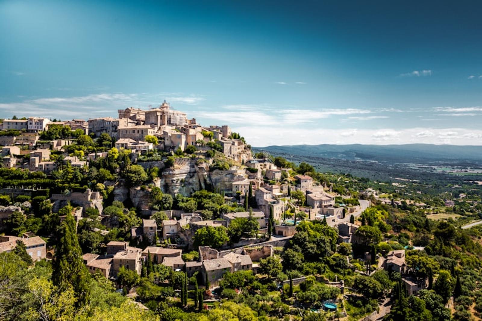Provence lavender fields
