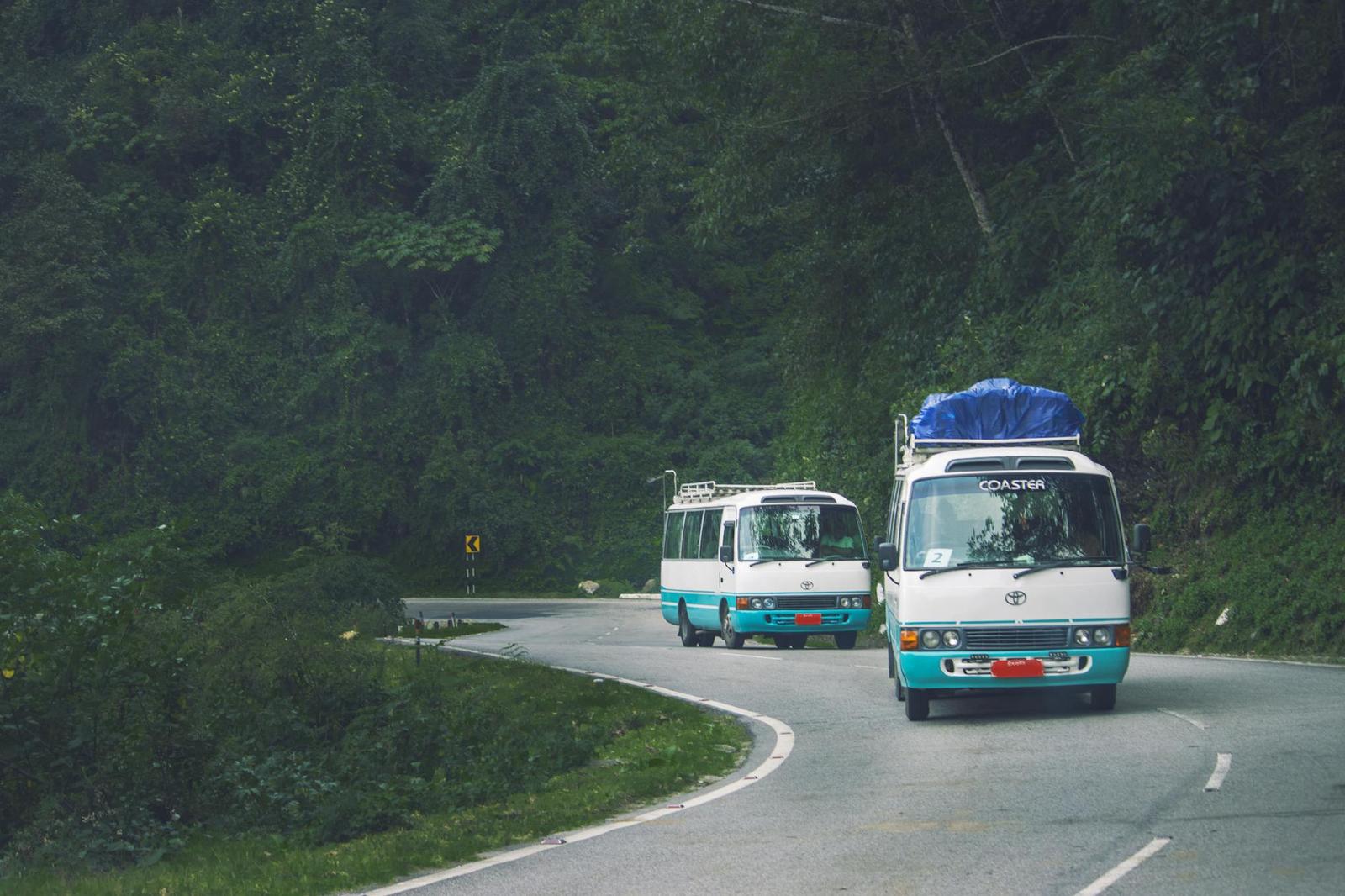 Two coaster buses rounding a bend on a forested mountain road