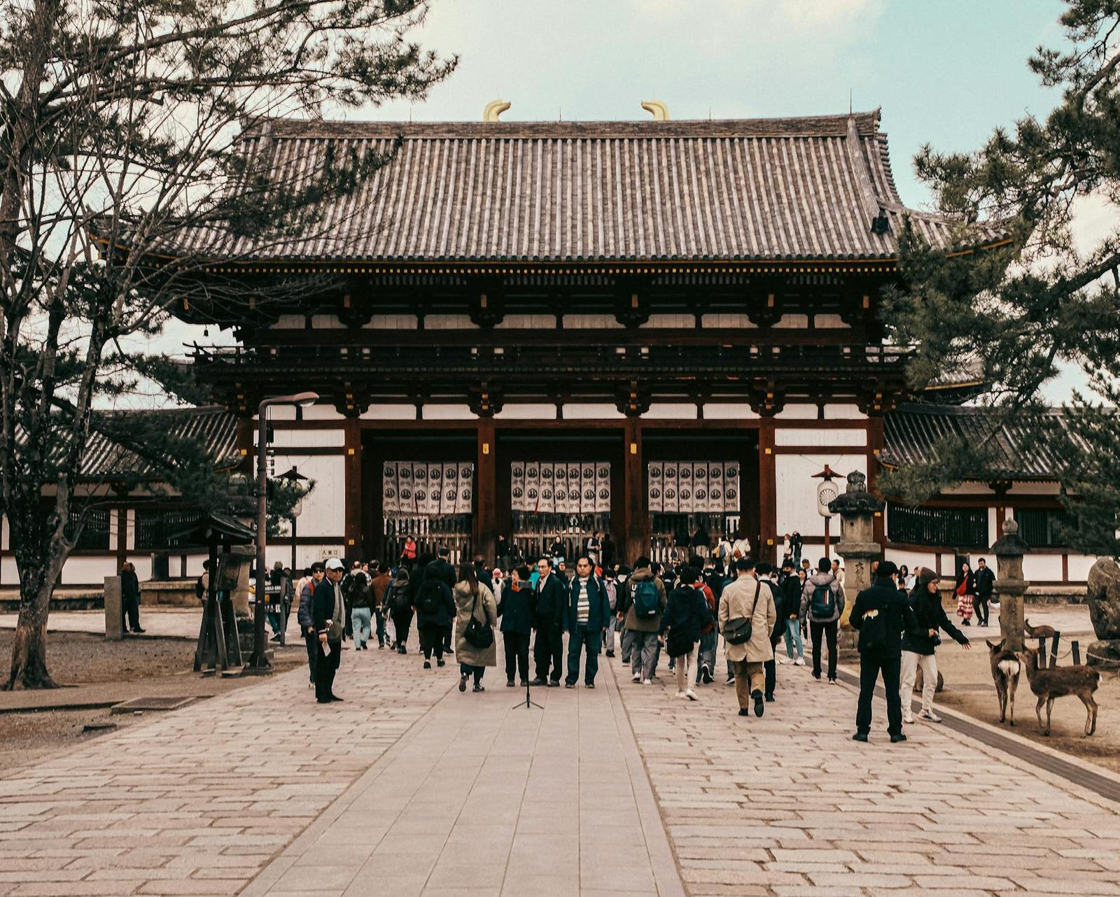 Kyoto & Nara Tour on day 10, Japan