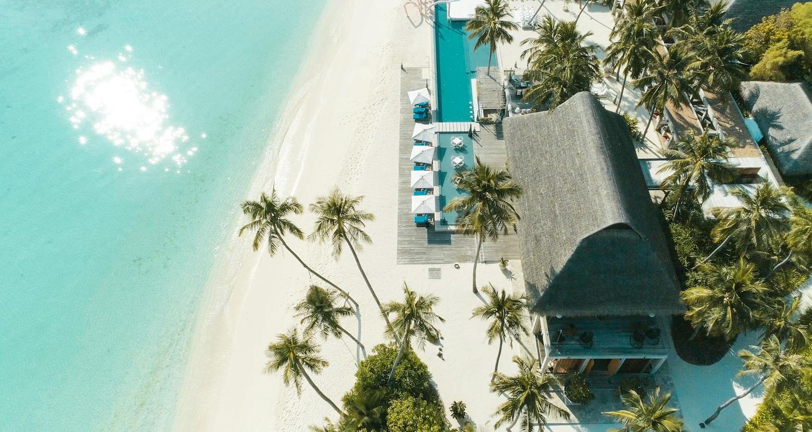 An aerial view of a thatched-roof beach villa beside a pool and palm trees