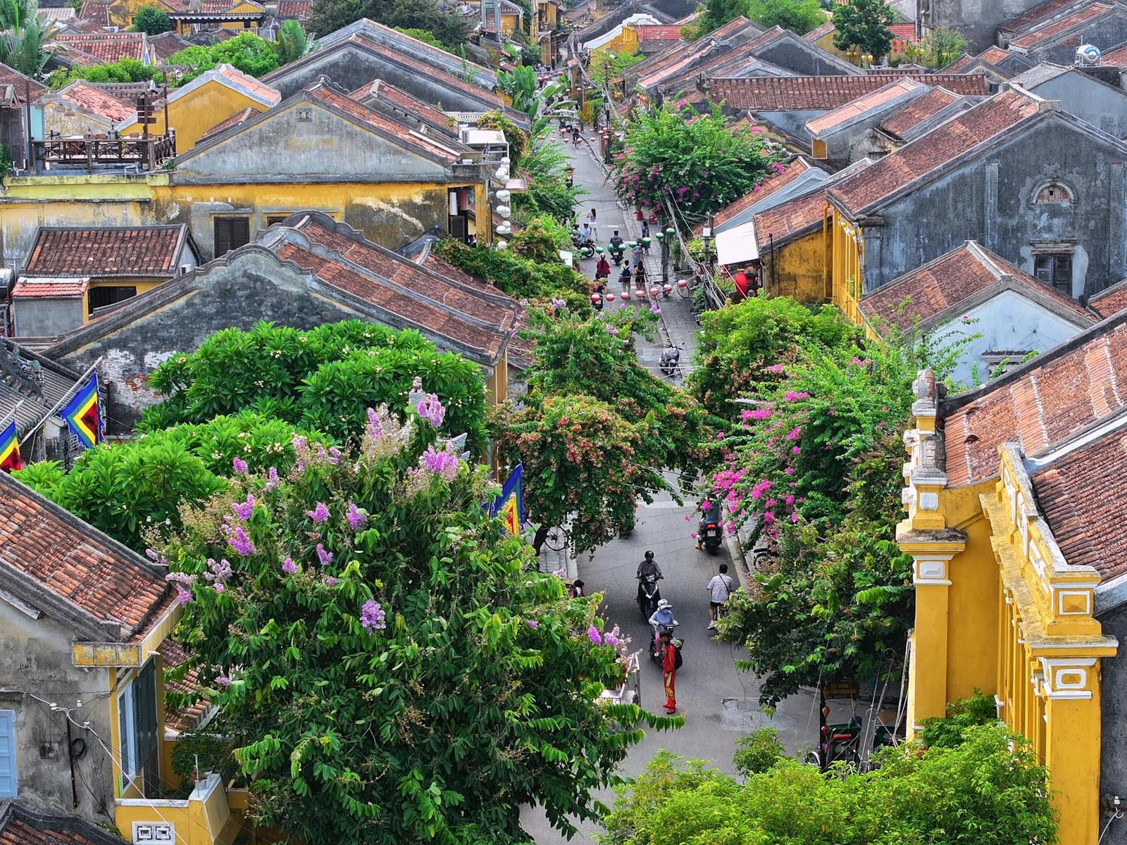 An aerial view of a narrow old town street lined with tiled roofs and flowering trees