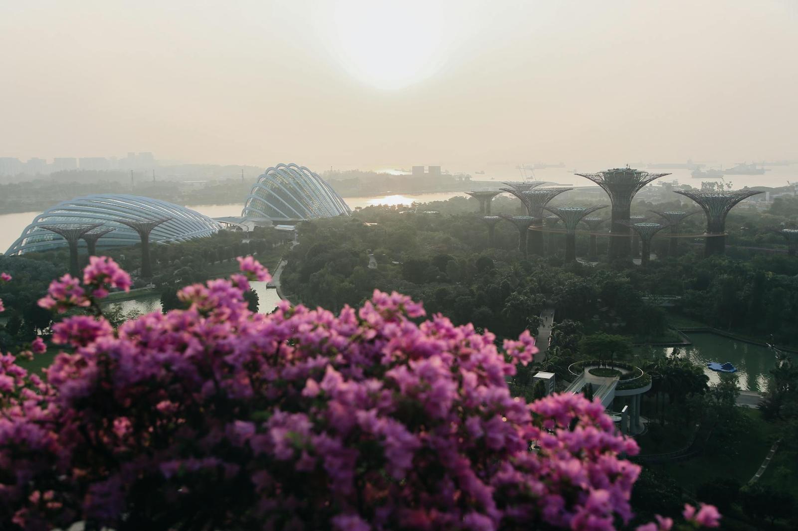 Gardens By The Bay Domes, Singapore