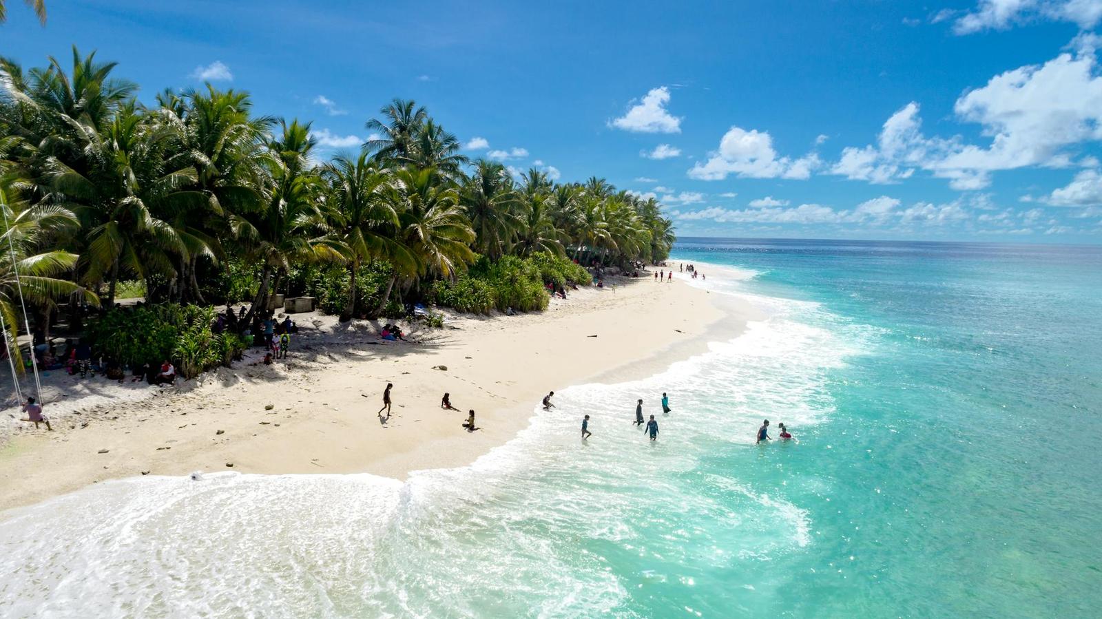 Aerial view of swimmers wading into turquoise shallows off a palm-fringed beach