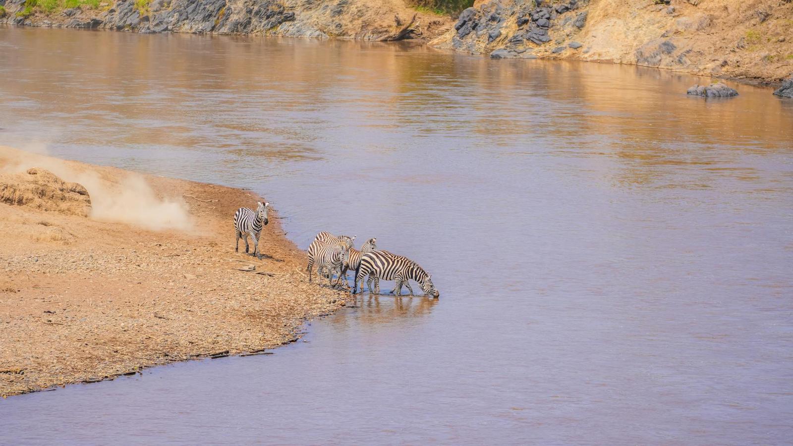 Masai Mara Lake Naivasha — Kenya