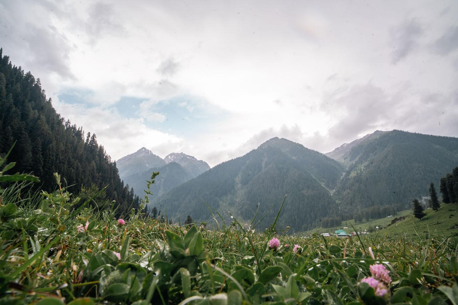 Explore the lush meadows and towering mountains of Pahalgam in spring