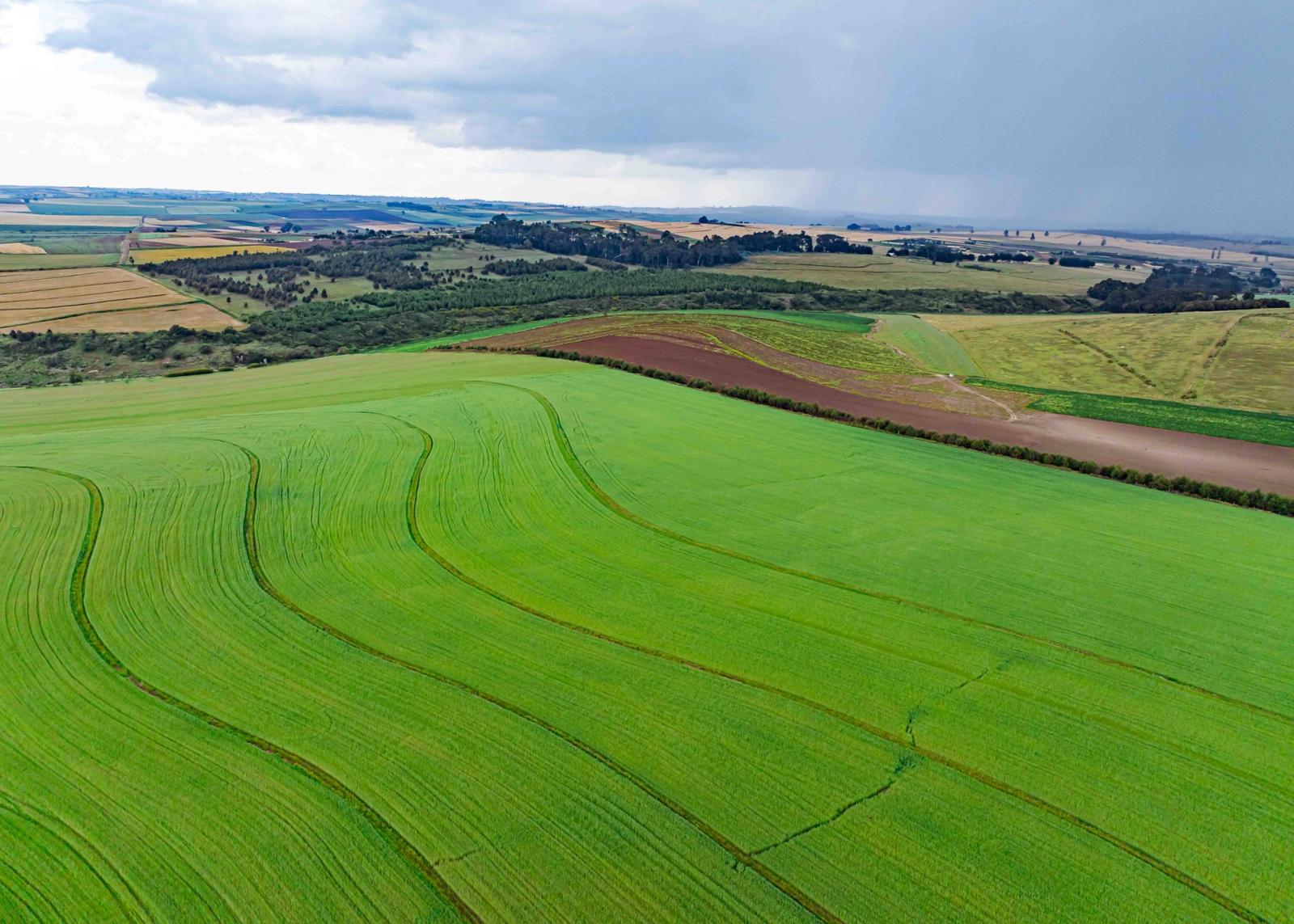 Aerial view of lush green fields in Mau Narok, Nakuru County, Kenya, showcasing agricultural beauty