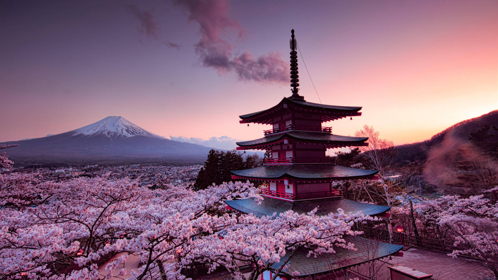 A red pagoda framed by cherry blossoms with a snow-capped mountain behind