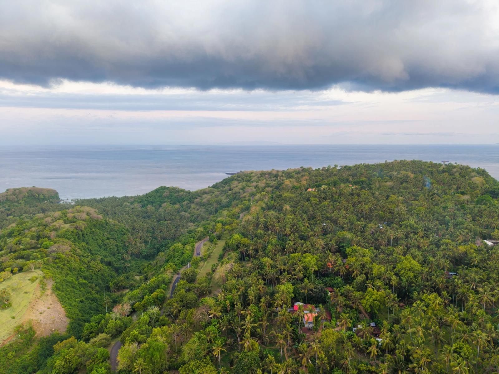 Aerial view of vibrant green hills and ocean in Bali, Indonesia