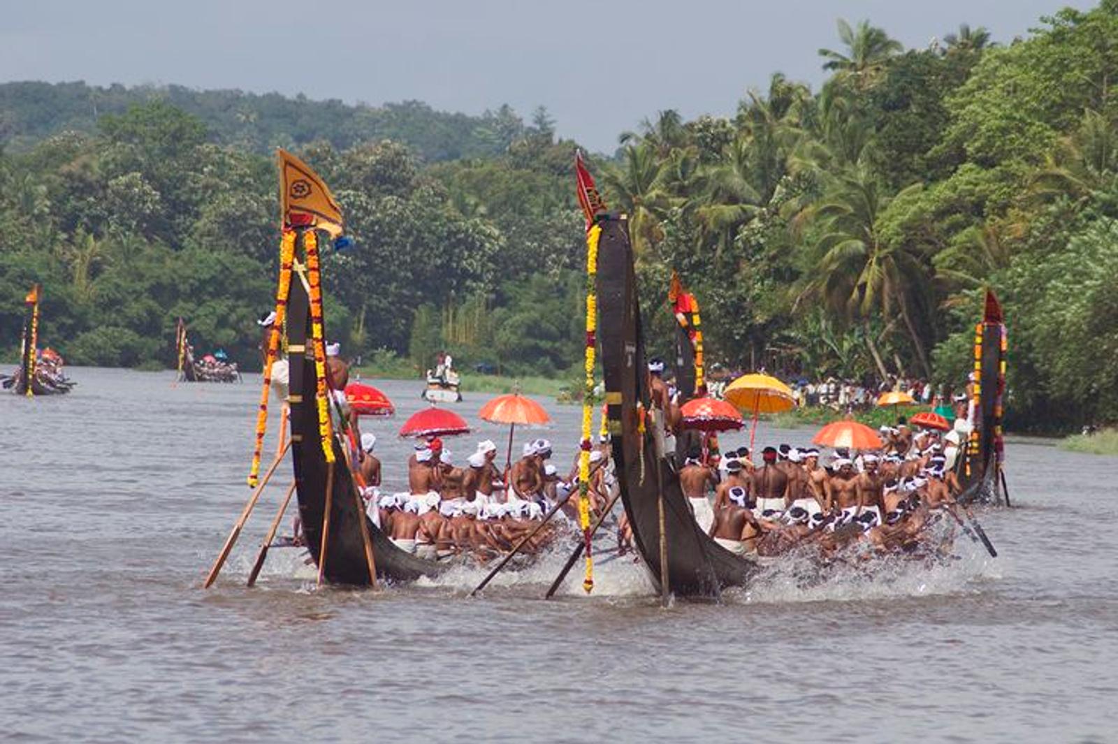 Corporate snake-boat race