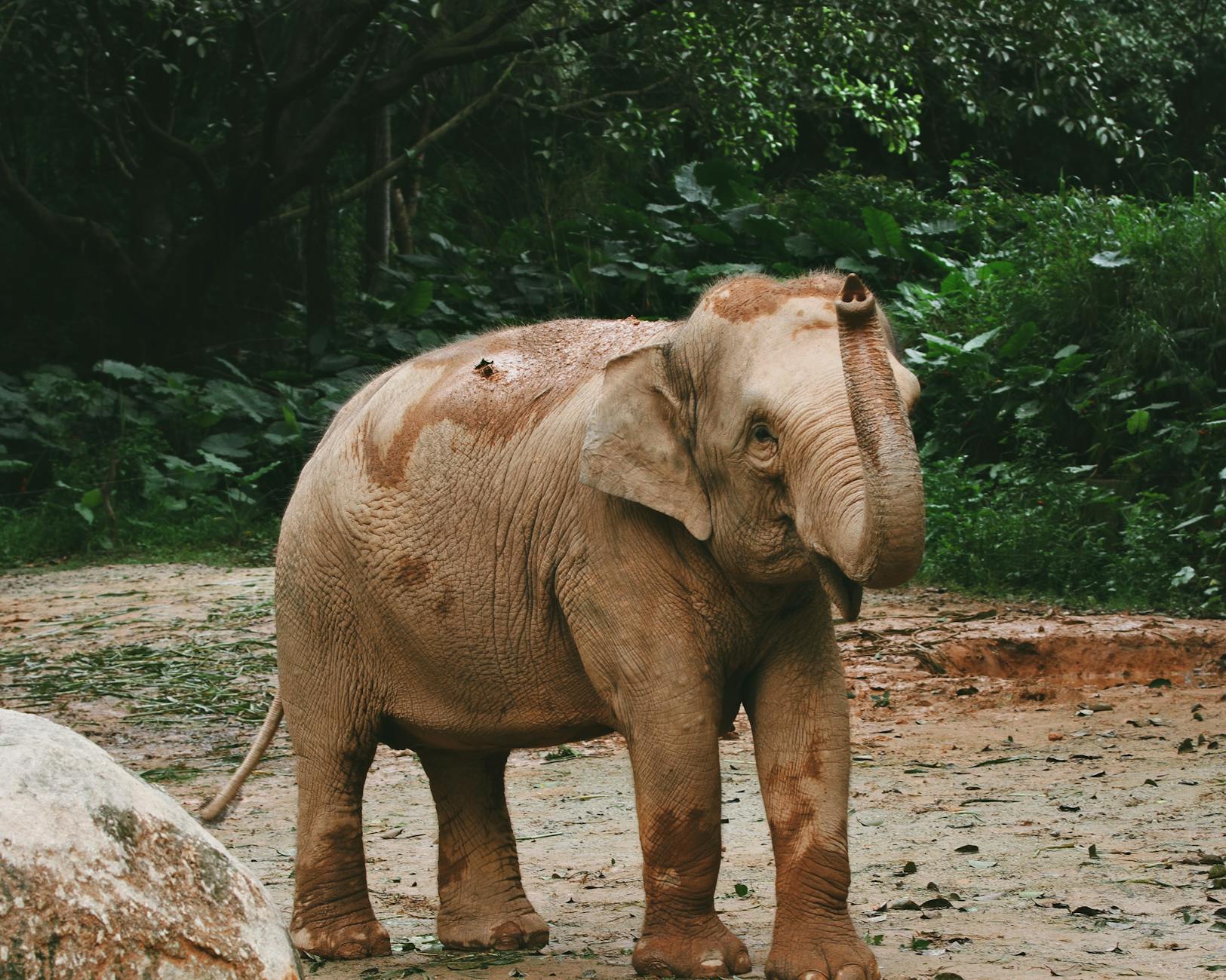 Elephant Beach — Havelock, India