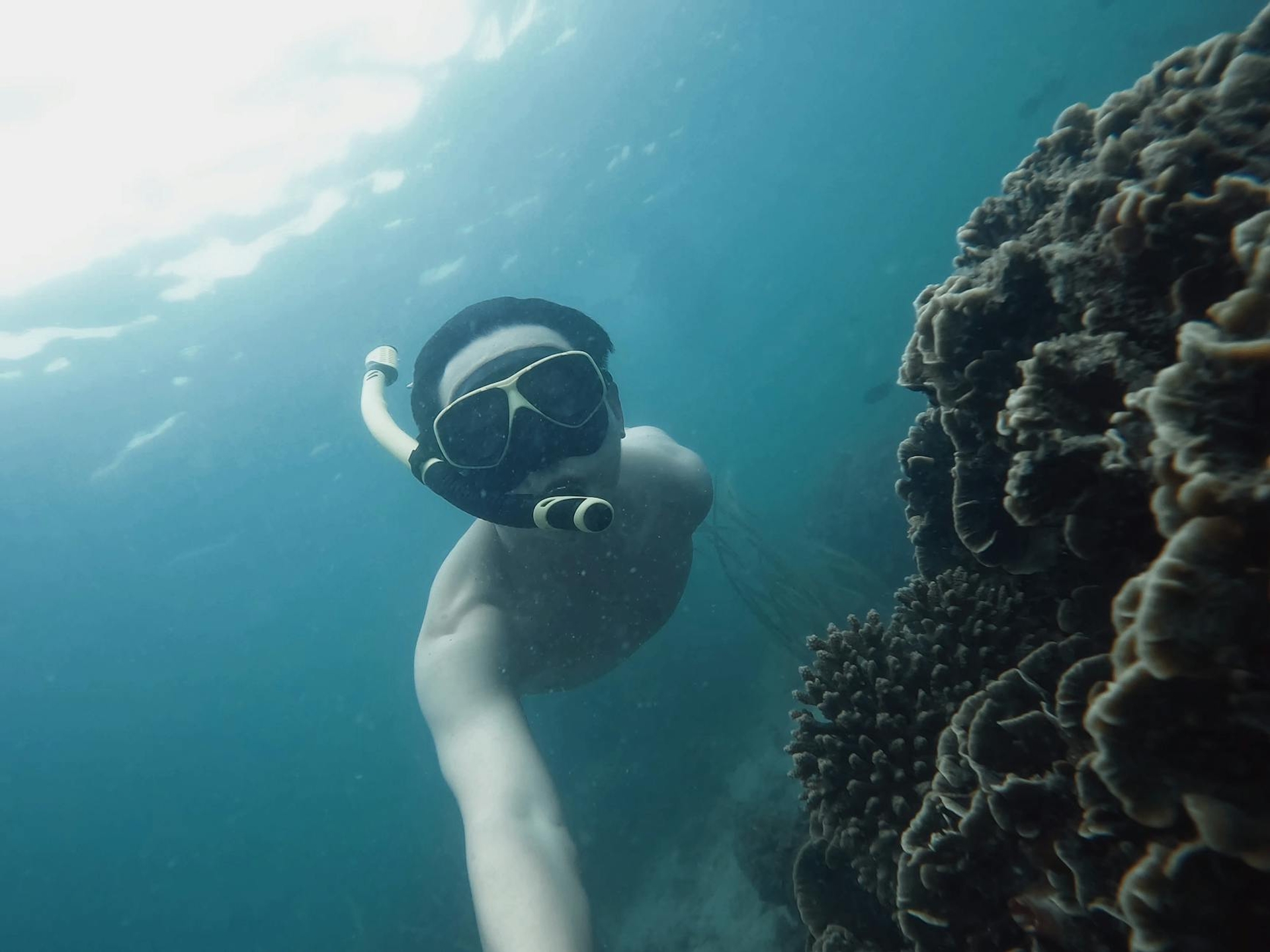 WEST ONE DAY TOUR + SNORKELLING architecture at night
