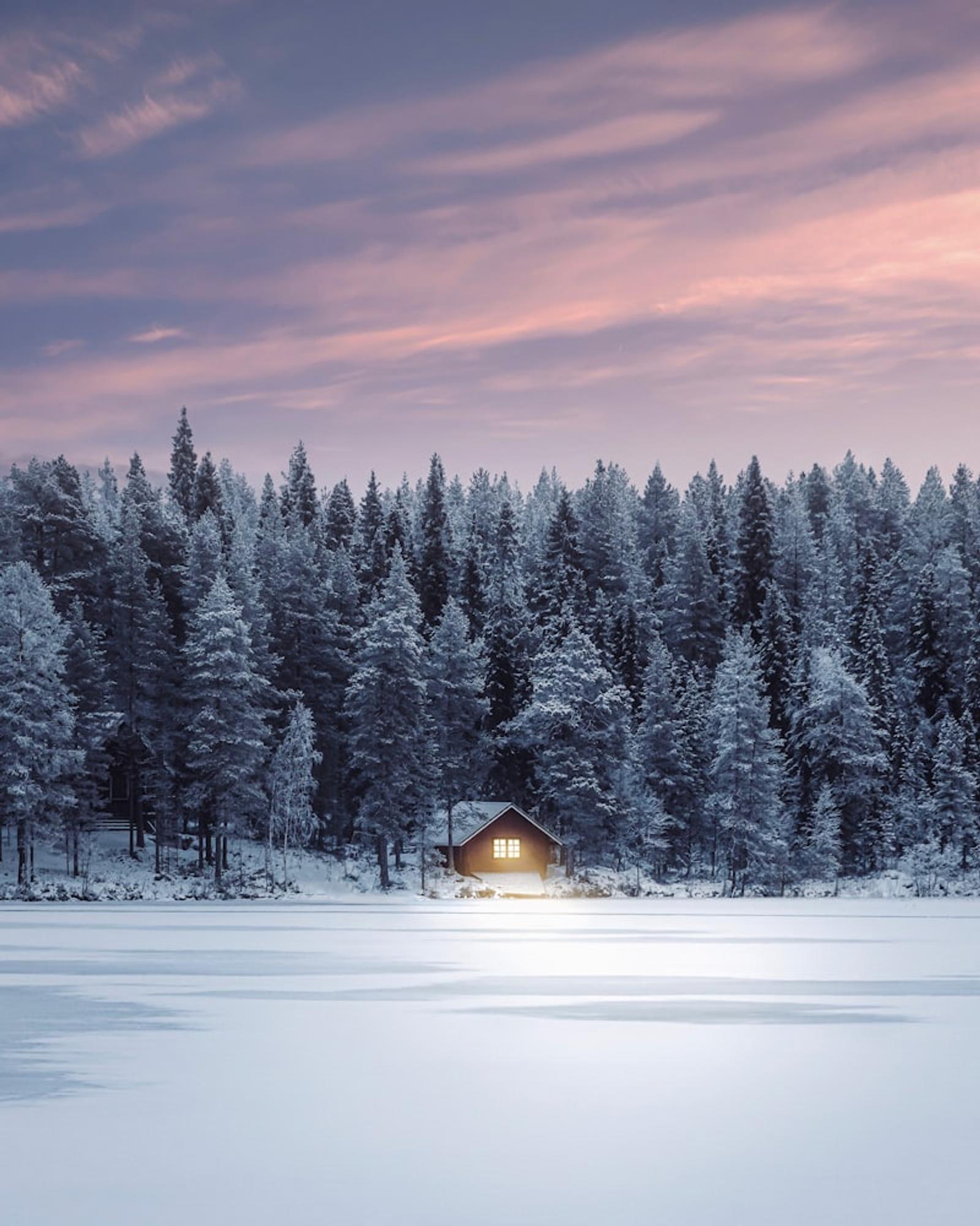 Cabin in snowy forest