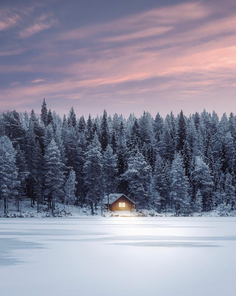 Cabin in snowy forest