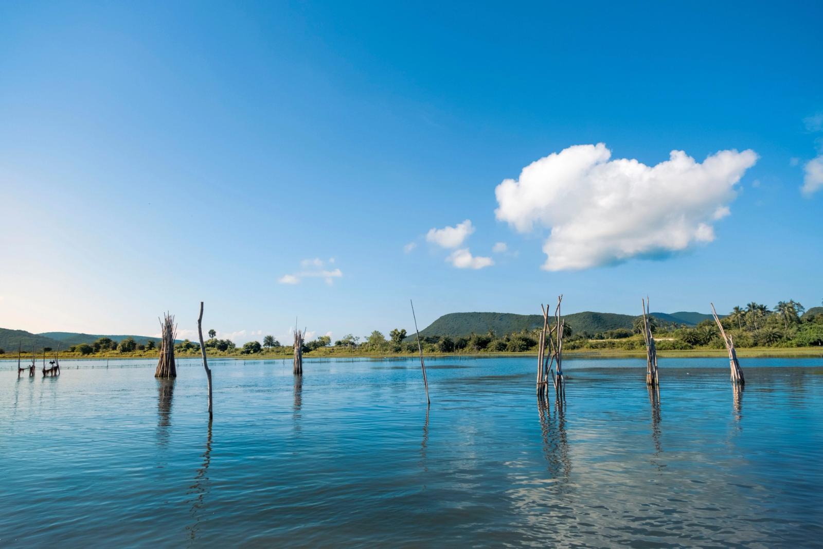 Bare tree snags rising from a calm lake beneath hills and a blue sky