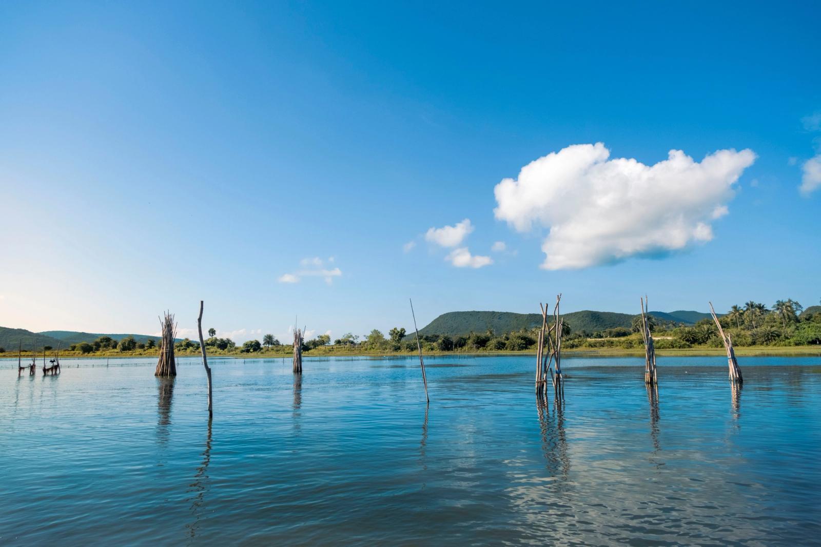 Bare tree snags rising from a calm lake beneath hills and a blue sky