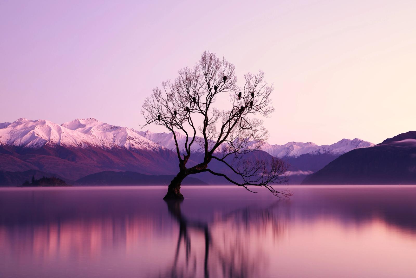 Best of Australia & New Zealand North Island
