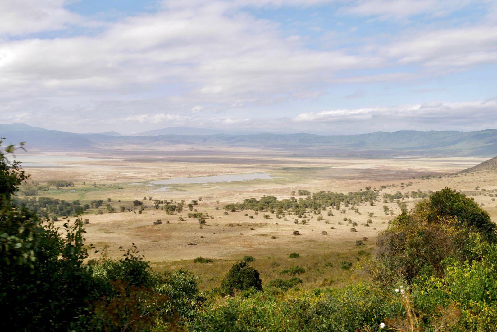 The floor of the Ngorongoro Crater seen from the rim