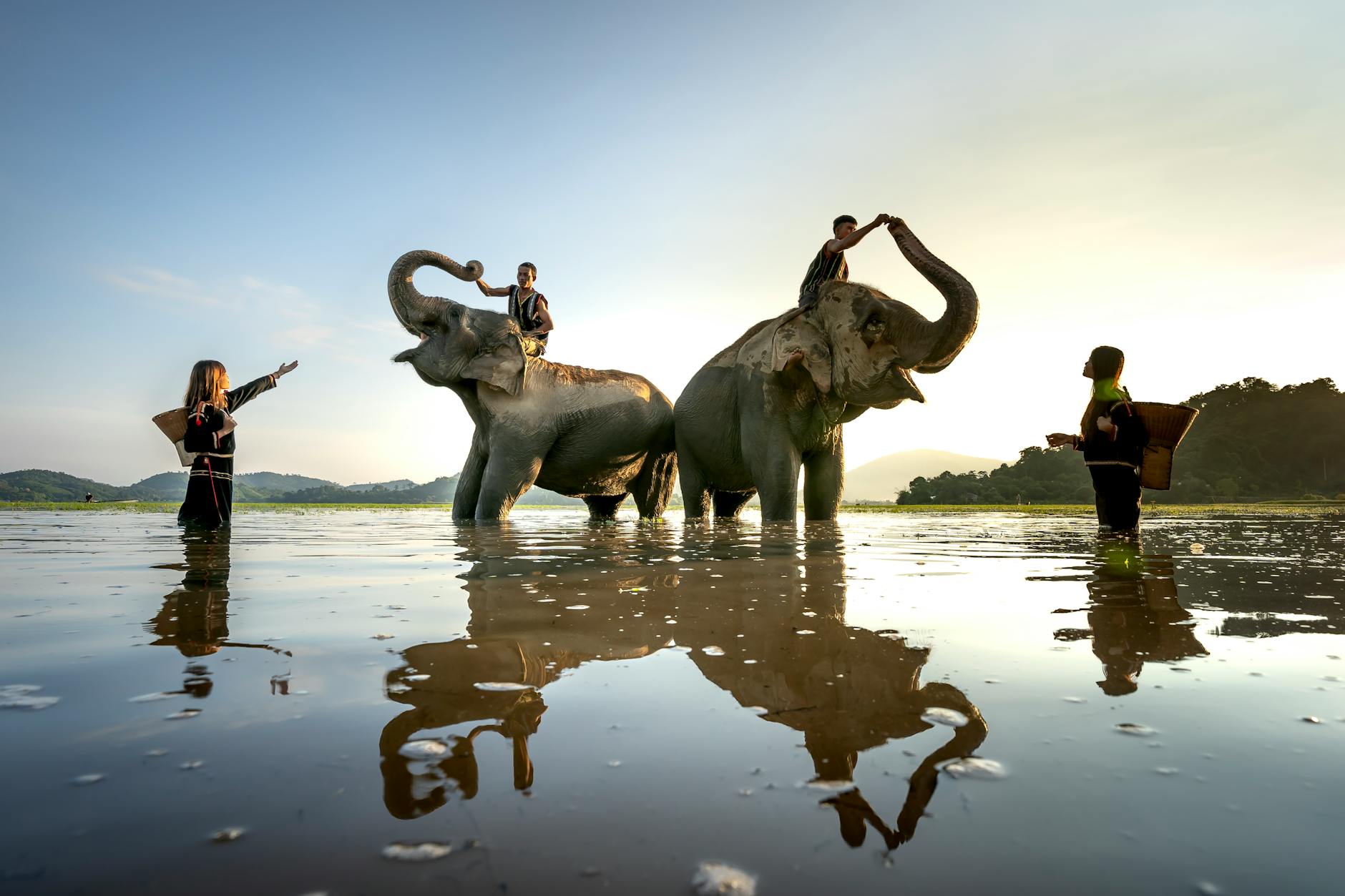 Safari on day 4, Thailand