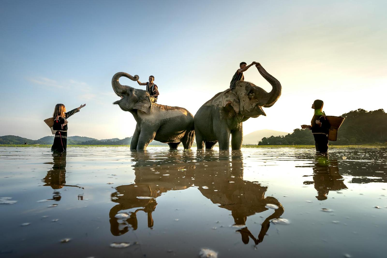 Safari on day 4, Thailand