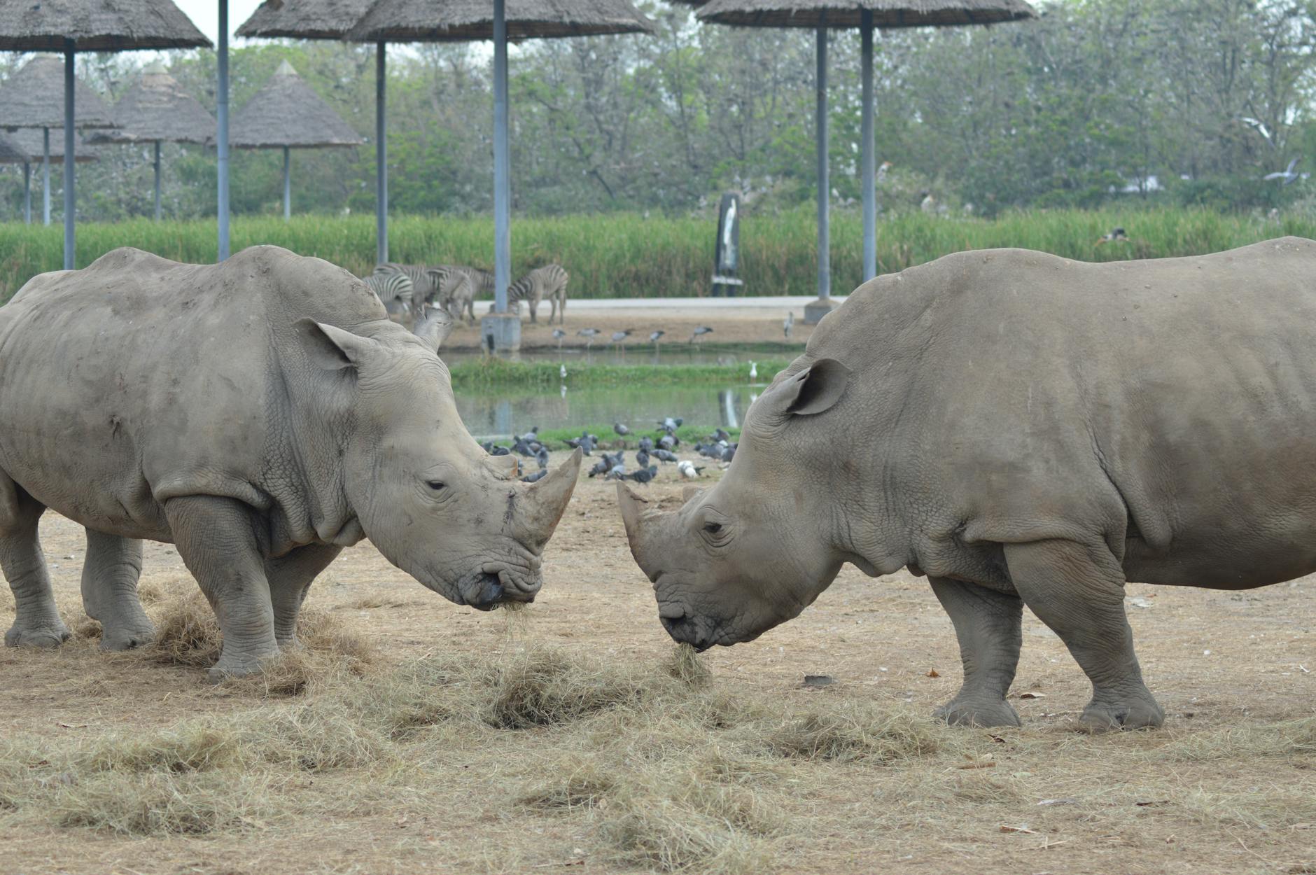 Safari World Marine Park, Thailand