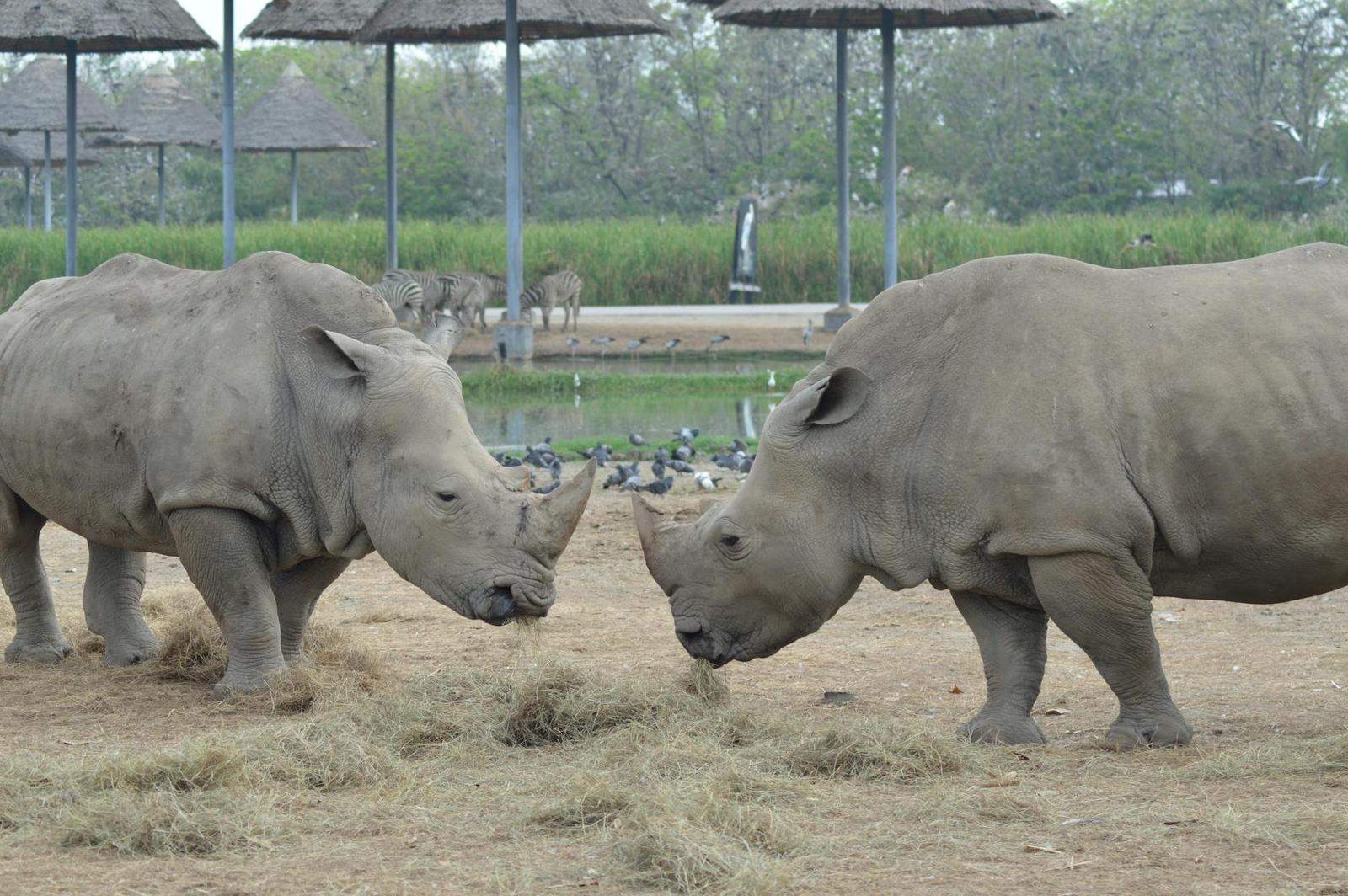 Safari World Marine Park, Thailand