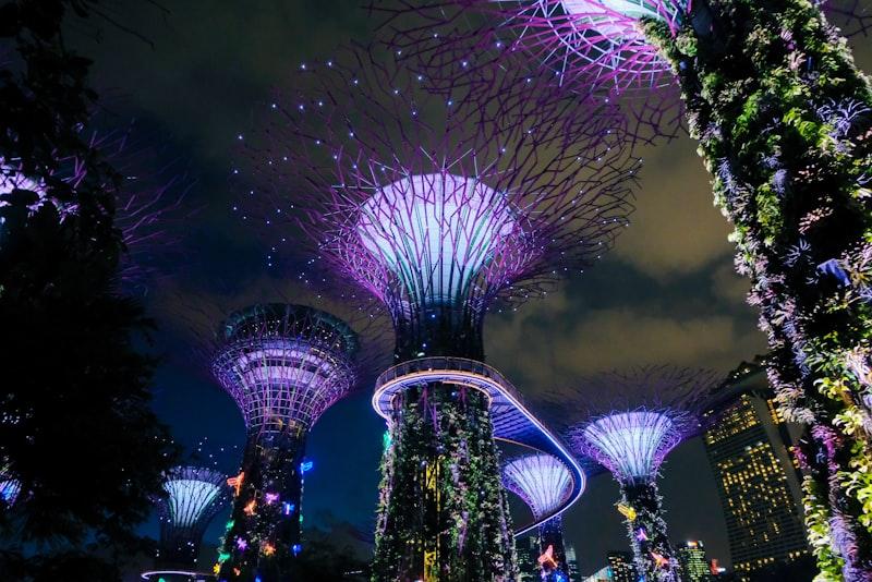 Supertree Grove