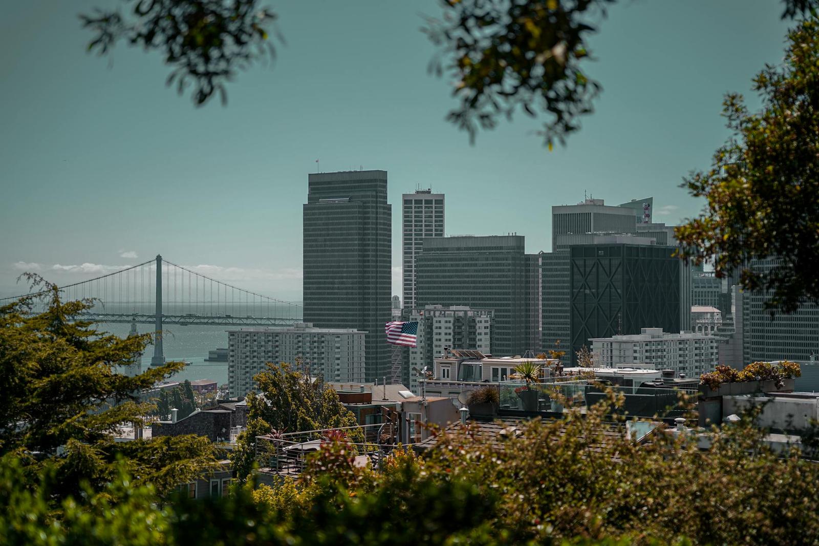 A downtown skyline framed by trees with a suspension bridge and flag in the foreground