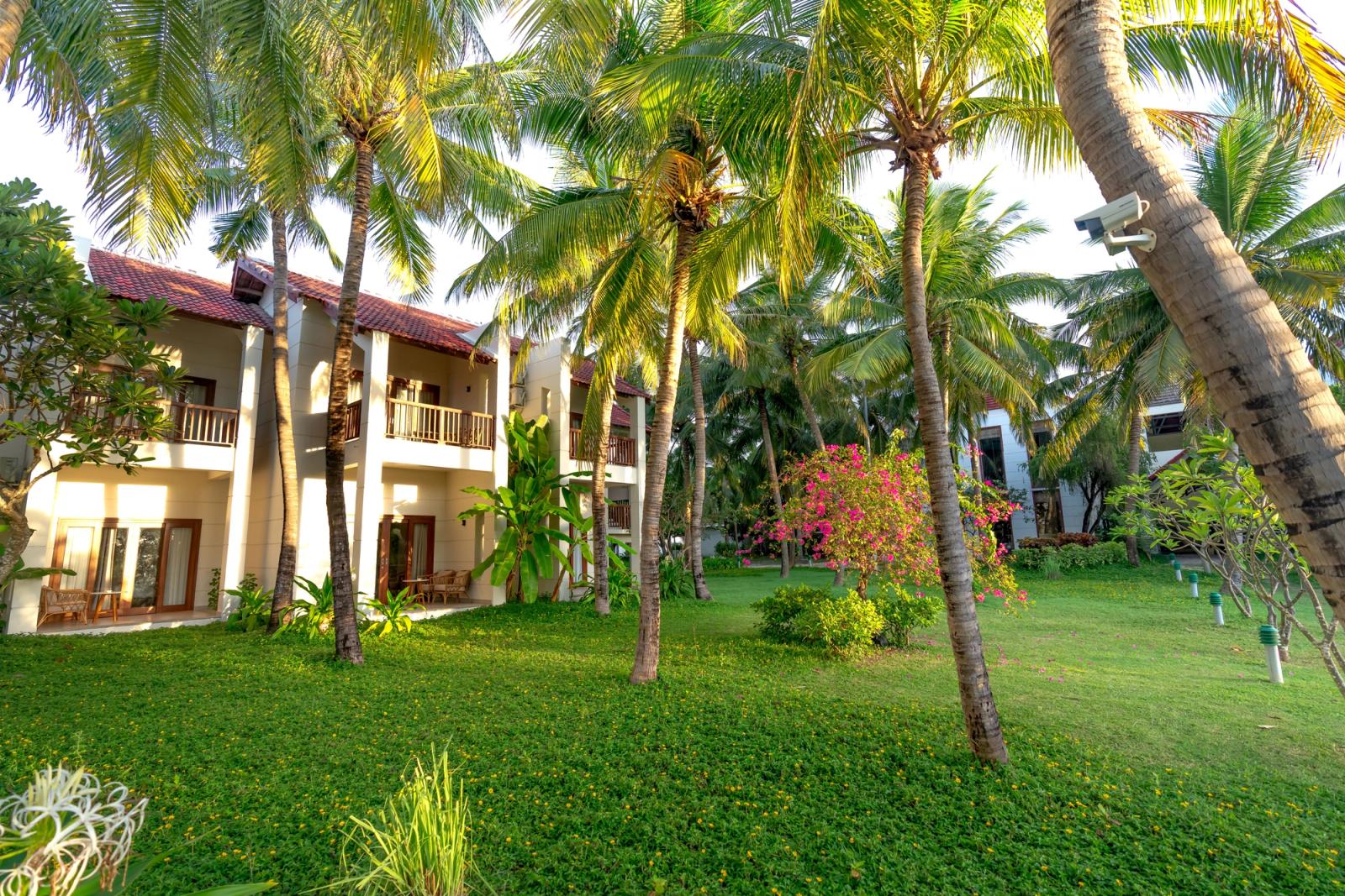 Elegant resort surrounded by lush palm trees and vibrant gardens, perfect for vacations and relaxation