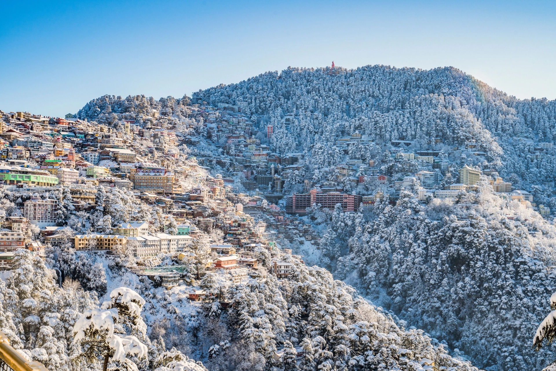 A scenic view of Shimla in winter, with snow-covered buildings and forests under a clear blue sky