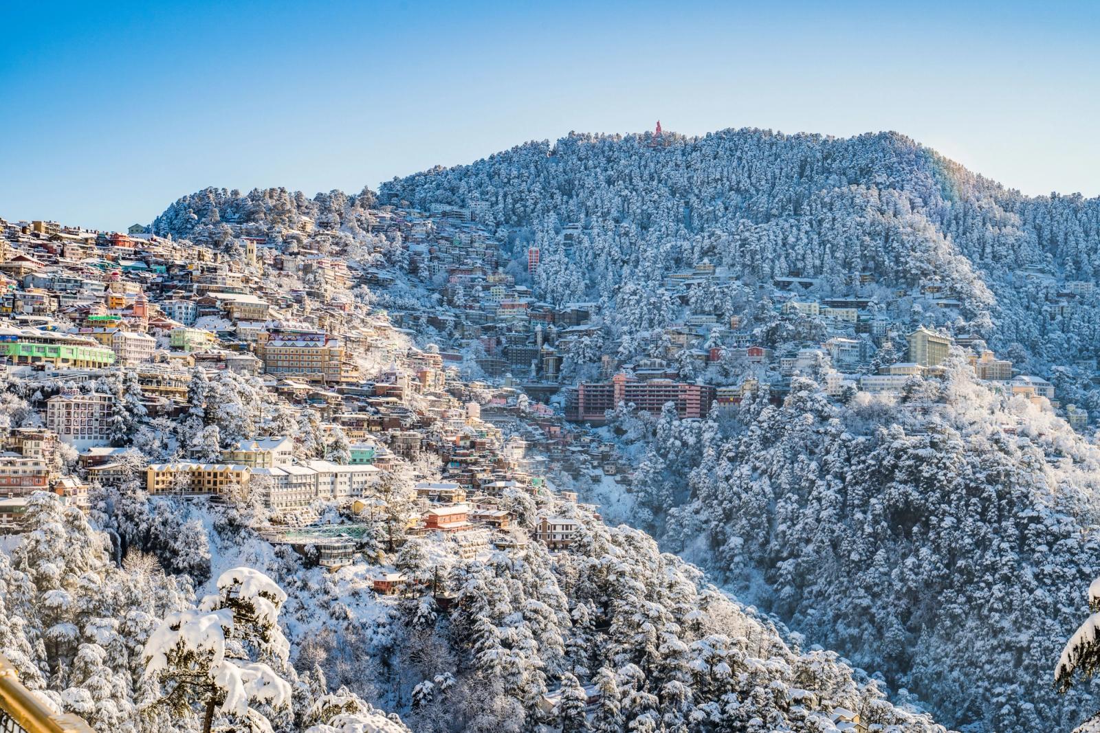 A scenic view of Shimla in winter, with snow-covered buildings and forests under a clear blue sky