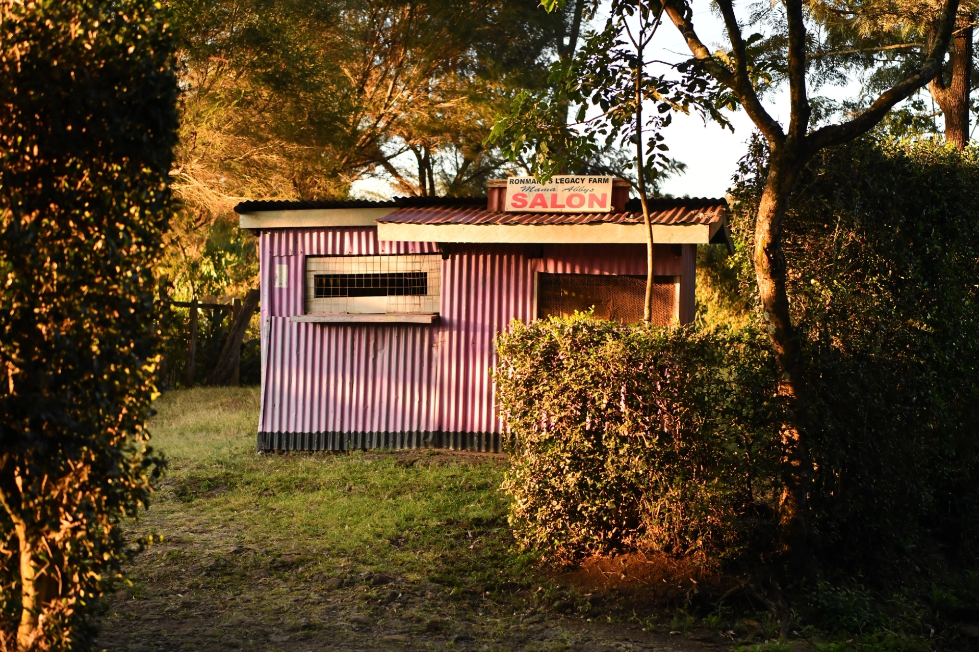 A quaint pink salon hut illuminated by the golden sunrise in Nairobi, Kenya