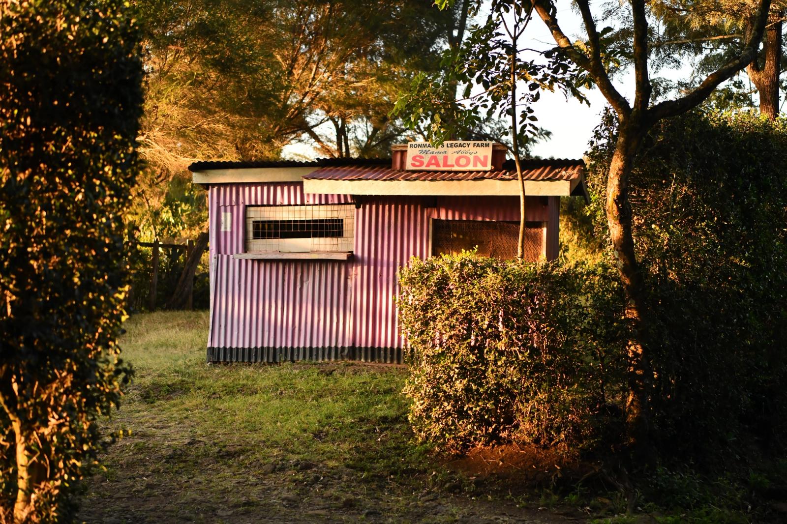 A quaint pink salon hut illuminated by the golden sunrise in Nairobi, Kenya