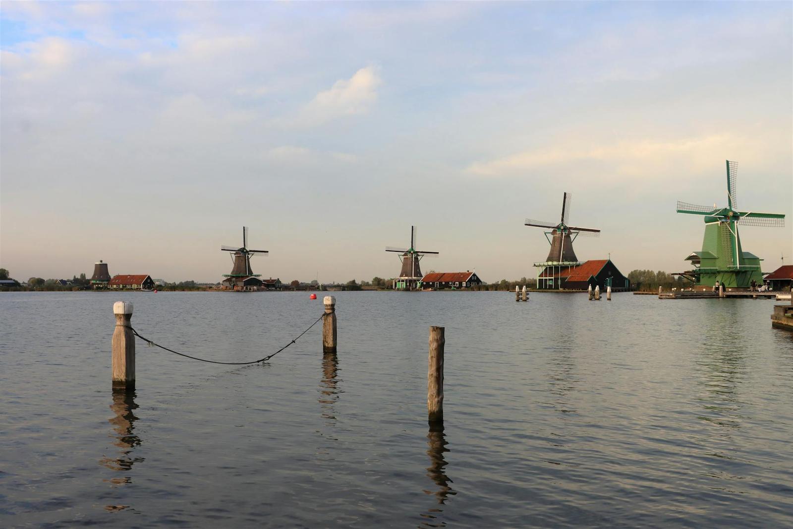 Zaanse Schans Wooden Shoe & Cheese Making Factory on day 3, Netherlands + Belgium + France + Switzerland