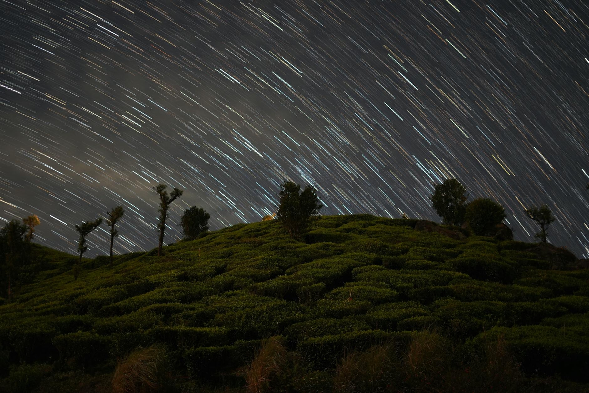 Munnar architecture at night