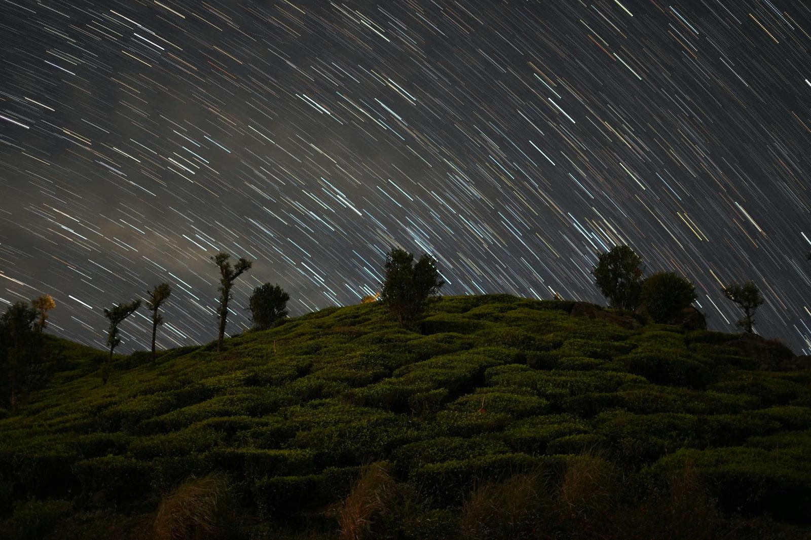 Munnar architecture at night