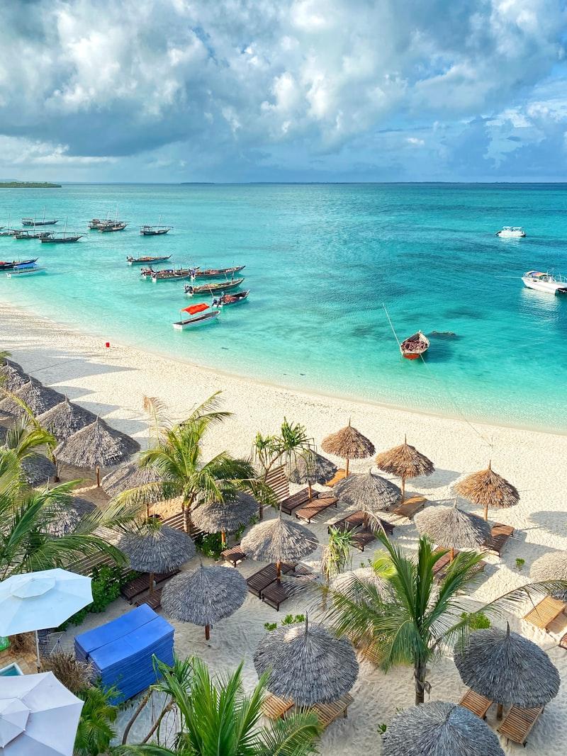 Zanzibar spice farm