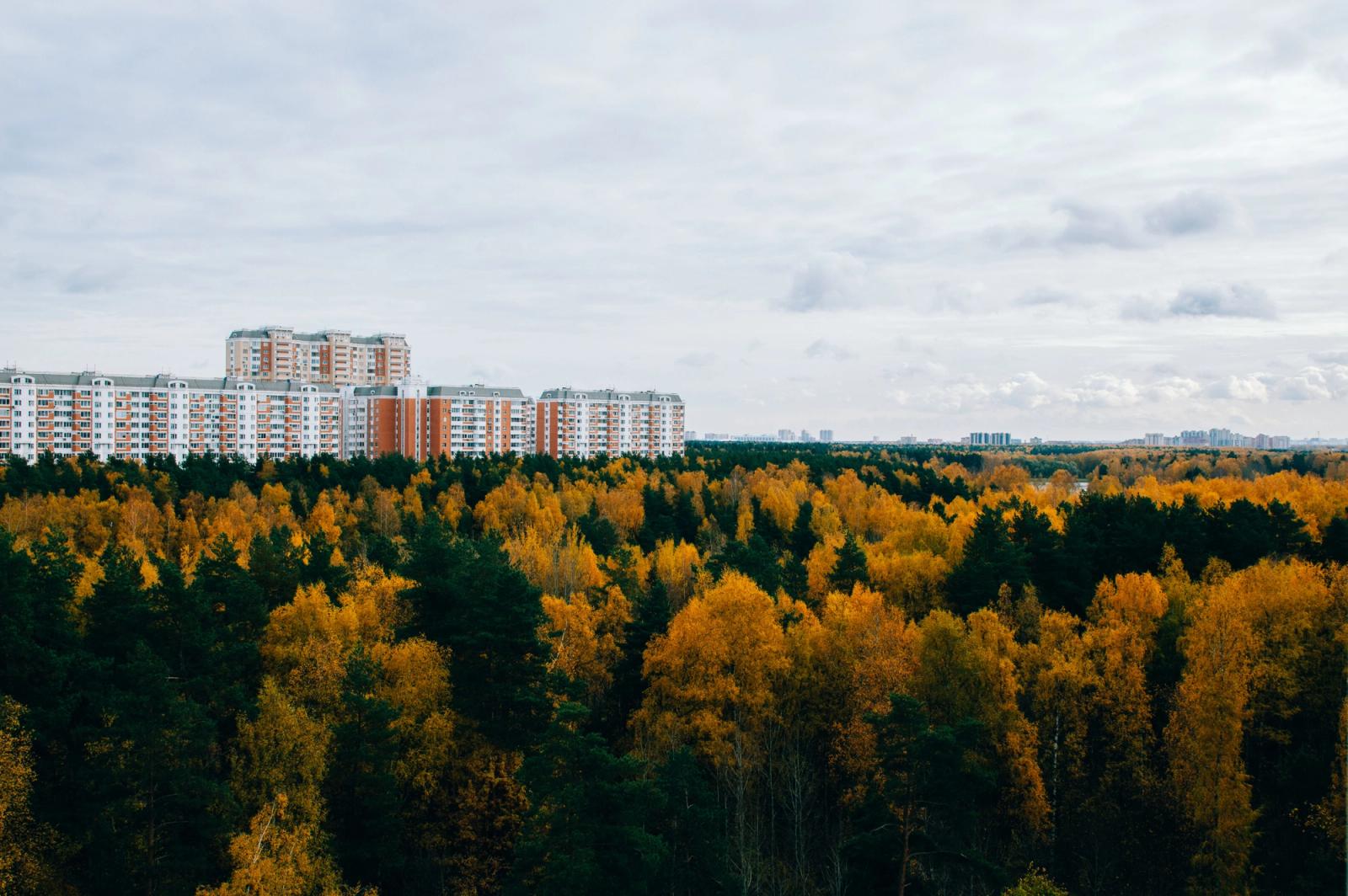 Aerial view of colorful autumn trees and residential buildings in Balashikha, Russia