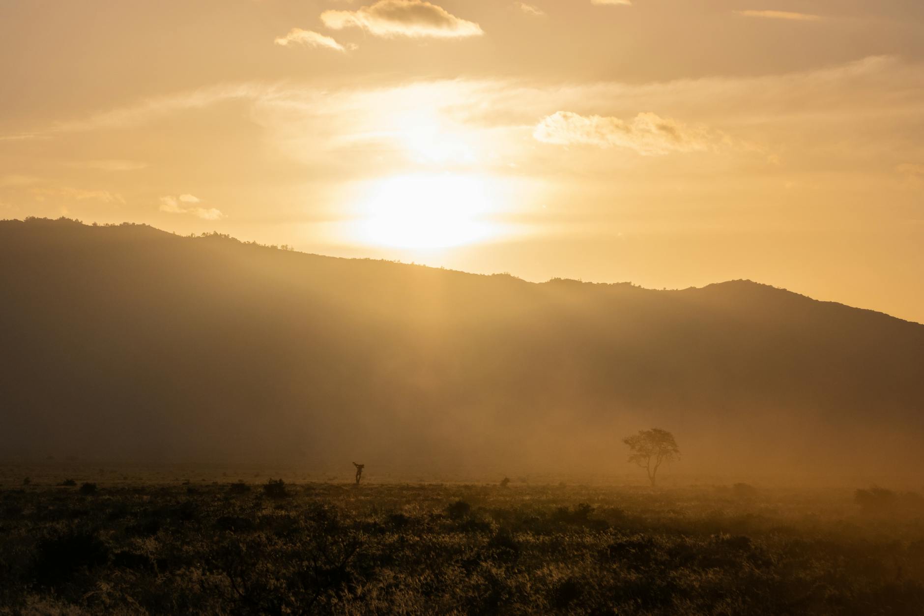 Kenya Package: Nairobi + Masai Mara