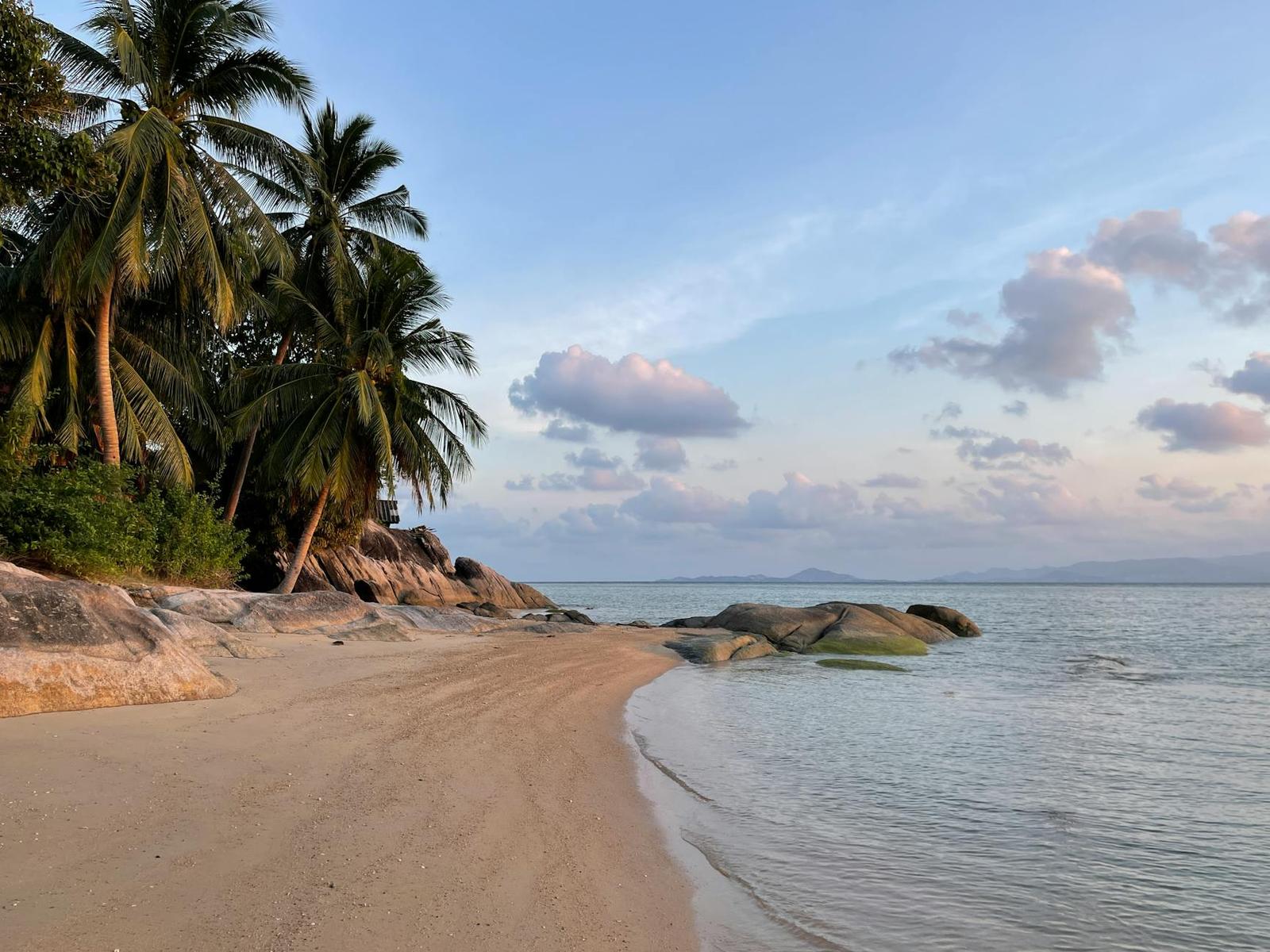 Palm-fringed beach with granite boulders at dusk
